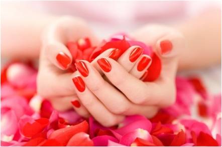 En kvinnas händer med rödmålade naglar som håller röda och rosa blomblad