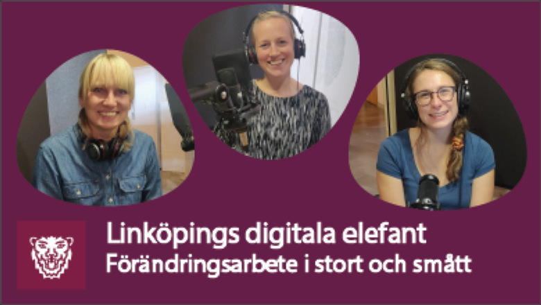 Bild på tre personer och texten Linköpings digitala elefant. Förändringsarbete i stort och smått