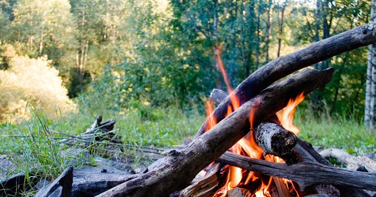 Bild på Linköpings kommuns logga