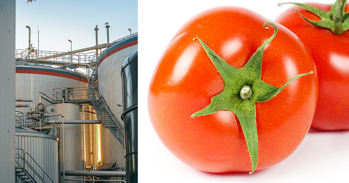 Bild på Linköpings kommuns logga