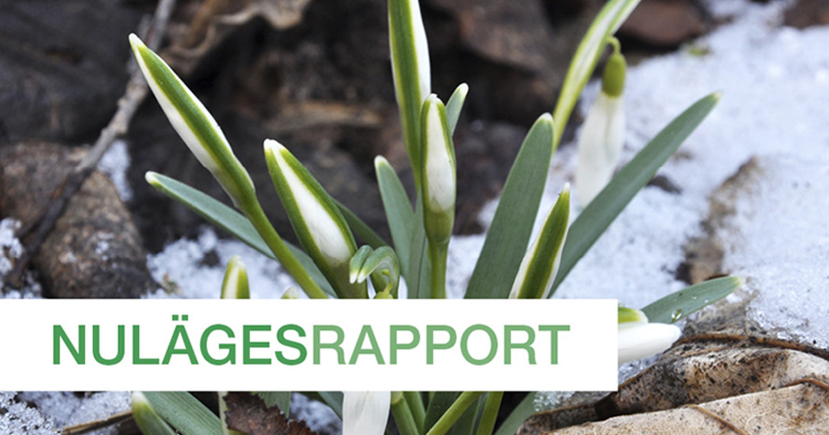 Bild på Linköpings kommuns logga