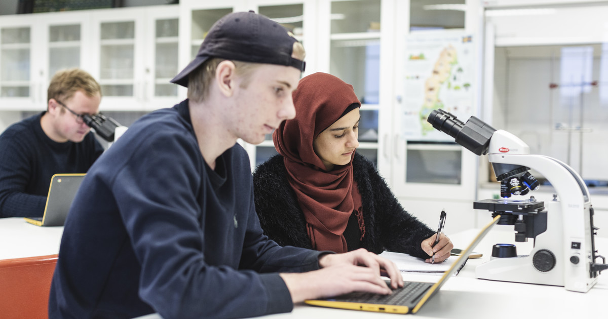 Bild på Linköpings kommuns logga