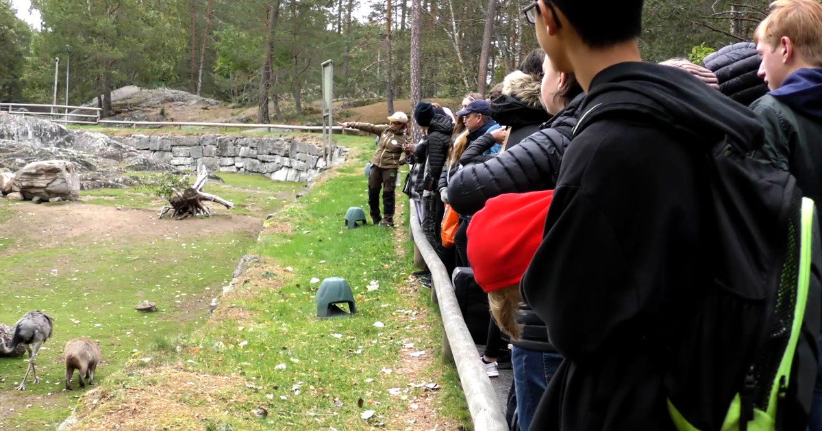 Bild på Linköpings kommuns logga