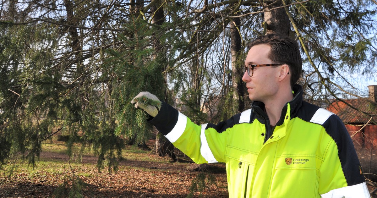 Bild på Linköpings kommuns logga