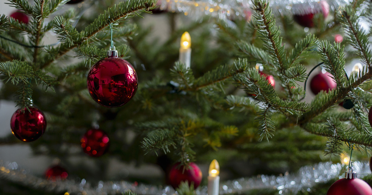 Bild på Linköpings kommuns logga