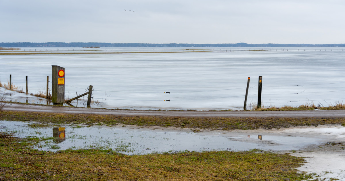Bild på Linköpings kommuns logga