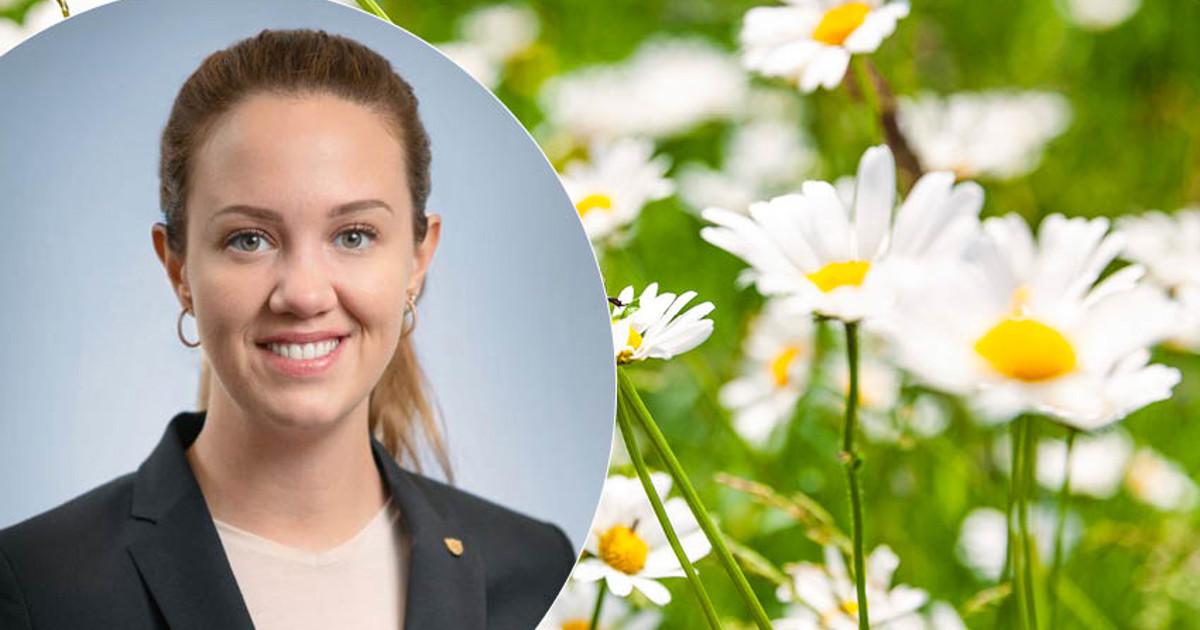 Bild på Linköpings kommuns logga