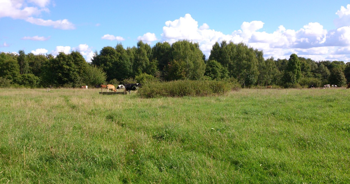 Bild på Linköpings kommuns logga