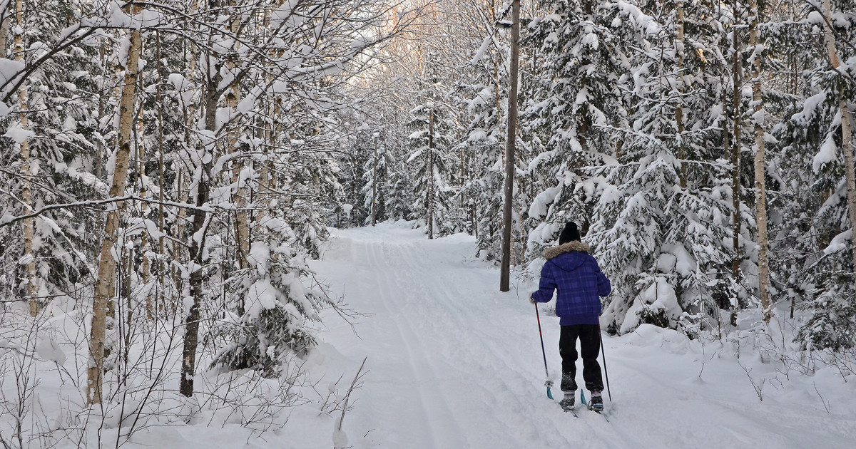 Bild på Linköpings kommuns logga