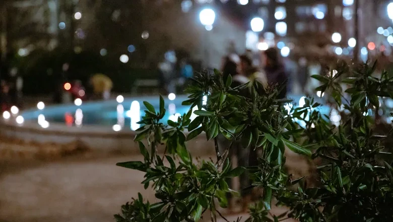 Ett suddigt foto av belysning i Trädgårdsföreningen under Vinterljus.