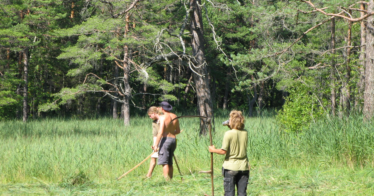 Bild på Linköpings kommuns logga