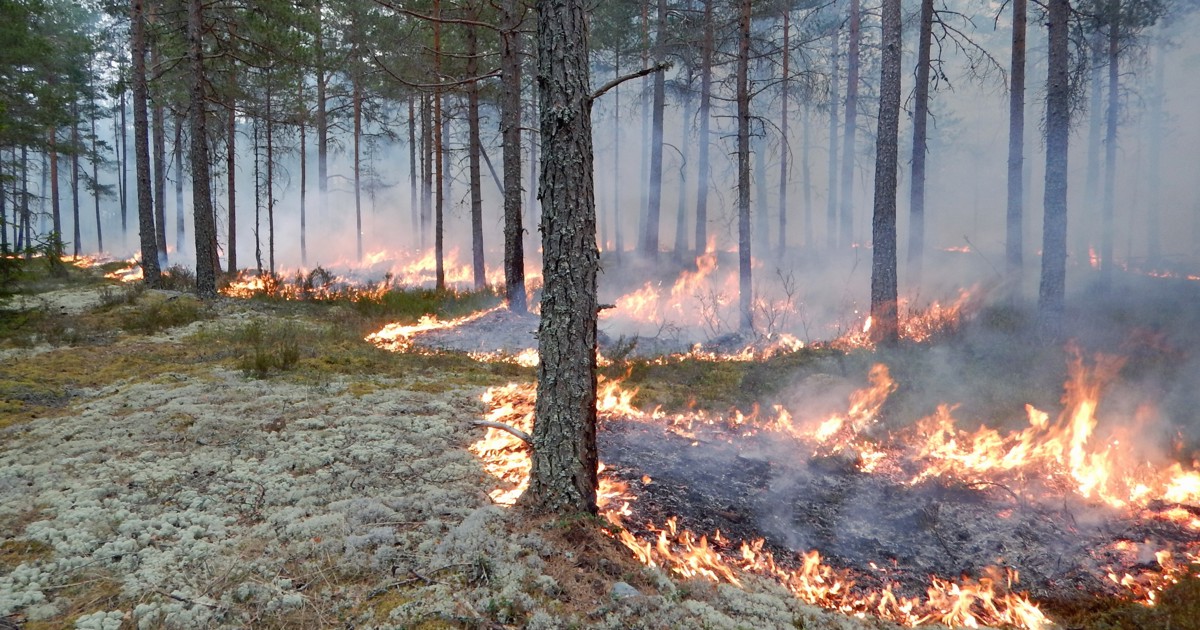 Bild på Linköpings kommuns logga