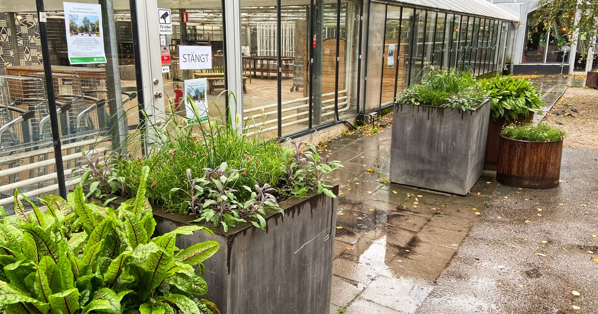 Bild på Linköpings kommuns logga