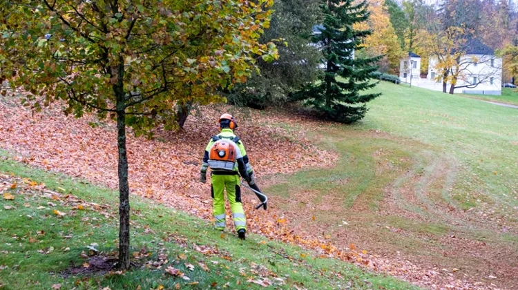 En person höstarbetar i parkmiljö