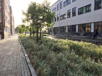 Bild över exempel på dagvattenanläggningar i gestaltningsnivå 1. Gäller i karaktärsområde 1, 2 och 5. En bild som visar en regnbädd i en tät stadsmiljö. Vegetationen är vald utifrån platsens centrala läge med gräs/perenner som kräver högre skötselnivå.