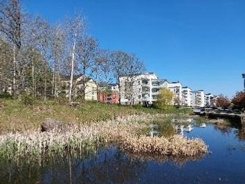 Bild över exempel på dagvattenanläggningar i gestaltningsnivå 1. Gäller i Karaktärsområde 1, 2 och 5. En bild som visar en regnbädd i en tät stadsmiljö. Vegetationen är vald utifrån platsens centrala läge med gräs/perenner som kräver högre skötselnivå.