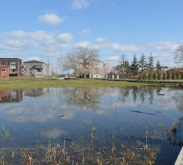 Bild över exempel på anläggning i gestaltningsnivå 2. Gäller i karaktärsområde 3, 4 och 5. En bild på en parkmiljö med en enkel damm med flacka slänter utan broar, spänger eller andra adderade värden knutna till dagvattenanläggningen.