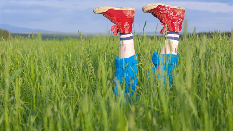 Ett par ben med blå byxor, randiga strumpor och rödmönstrade skor sticker upp ur högt, saftigt gräs. 
