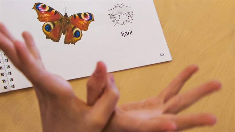 Bok med teckenspråk, händer som visar tecknet fjäril