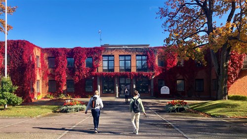 Facettens skolbyggnad, en tvåvånings tegelbyggnad med höströd vildranka som täcker merparten av ytterväggarna. I förgrunde nnågra elever på väg mot entrén.