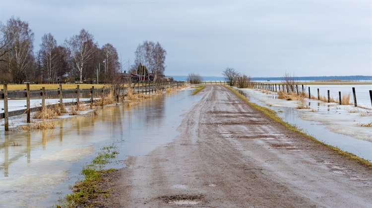 En grusväg på landsbygden är översvämmad.