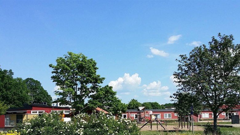 Fredriksbergsskolan sett från gräsplanen vid parkeringen, gröna och blommande buskar framför.