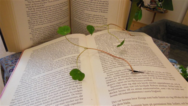 En bok ligger uppslagen bland andra böcker, en slingerväxt sträcker sig längs uppslaget. 