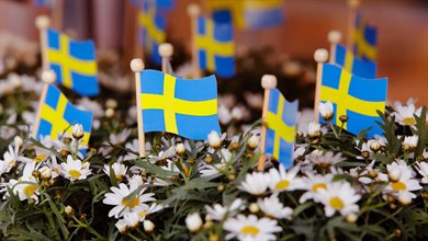 Svenska flaggor och blommor.