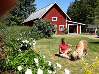 Exteriör från Lundstorps dagliga verksamhet. Ett rött hus, träd och blommor och en kvinna som klappar en liten häst.