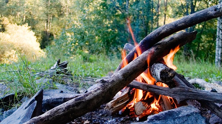 Närbild på en öppen eld i en staplad hög med pinnar och grenar. I bakgrunden lövskog i solljus.
