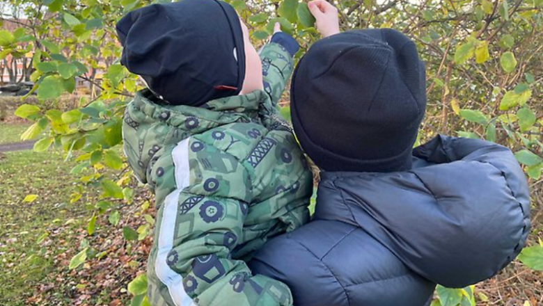 Bild på två barn som plockar löv från ett träd