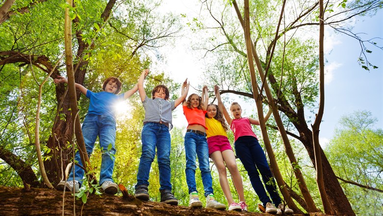 Fem barn står på en nedfallenb stock i skogen, håller varandras händer och håller upp dom i luften
